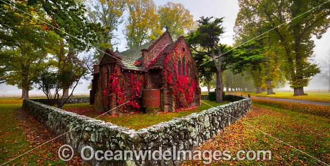 Autumn at Gostwyck Chapel surrounded by Elm trees, near Uralla, New England Tableland, New South Wales, Australia. Photo - Gary Bell Autumn at Gostwyck Chapel surrounded by Elm trees, near Uralla, New England Tableland, New South Wales, Australia. Photo - Gary Bell