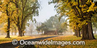 Autumn Trees Gostwyck Chapel Photo - Gary Bell