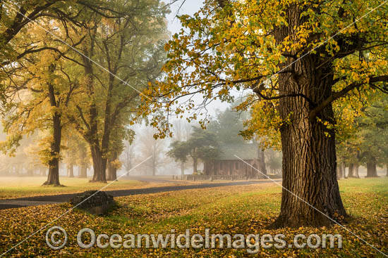 Gostwyck Chapel photo Gostwyck Chapel photo