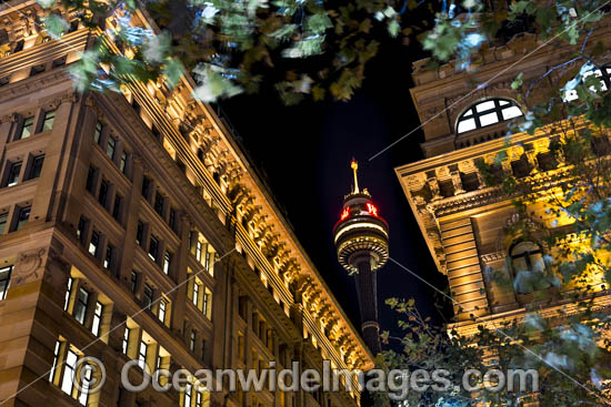 Martin Place Sydney photo