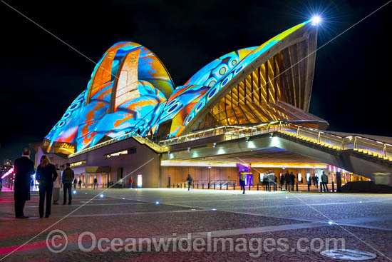 Vivid Sydney photo