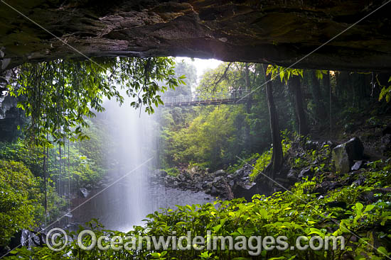 Crystal Showers Falls Dorrigo photo