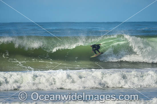 Surfing Sawtell photo