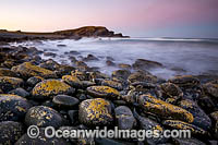 Pebbly Beach Photo - Gary Bell