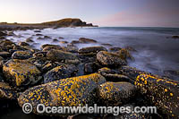 Pebbly Beach seascape Photo - Gary Bell