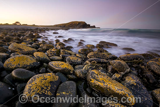 Pebbly Beach photo