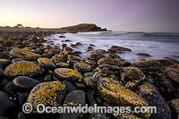 Pebbly Beach Photo - Gary Bell