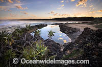 Sawtell Rock Pool Photo - Gary Bell