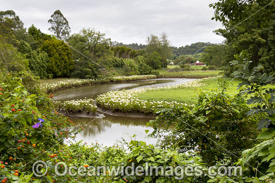 Bellinger River, Bellingen, New South Wales, Australia. Photo - Gary Bell Bellinger River, Bellingen, New South Wales, Australia. Photo - Gary Bell
