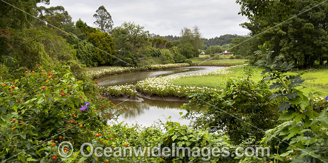 Bellinger River, Bellingen, New South Wales, Australia. Photo - Gary Bell Bellinger River, Bellingen, New South Wales, Australia. Photo - Gary Bell