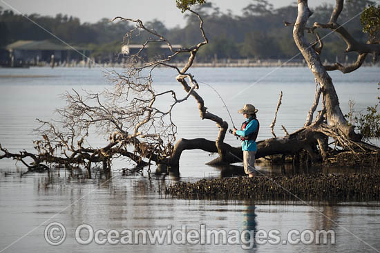 Fishing at Wallis Lake photo