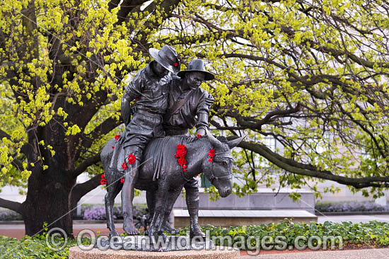 Simpson and his donkey Memorial photo