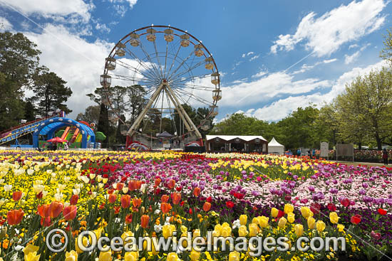 Floriade Festival photo