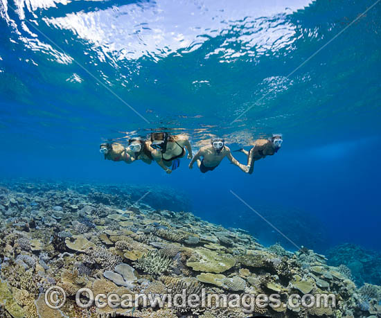 Group of people snorkelling a tropical coral reef, Fijian Islands. Photo - David Fleetham