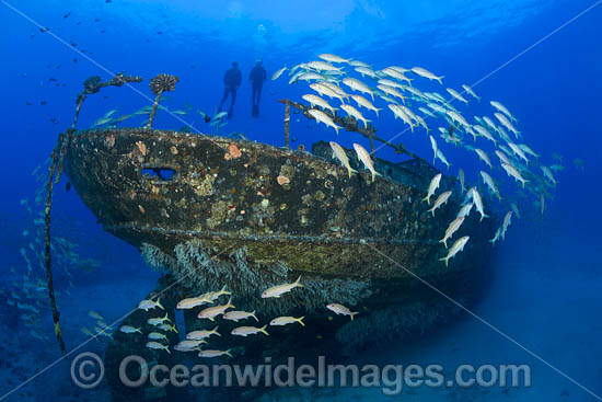 Artificial Reef Hawaii photo