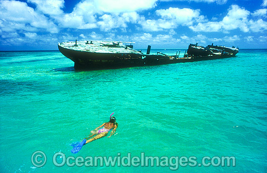Snorkel Diver / Snorkeler exploring HMAS 'Protector' shipwreck. Heron Island, Great Barrier Reef, Queensland, Australia. Photo - Gary Bell Snorkel Diver / Snorkeler exploring HMAS 'Protector' shipwreck. Heron Island, Great Barrier Reef, Queensland, Australia. Photo - Gary Bell
