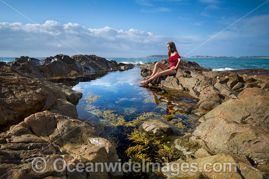 Coastal Rockpool. Macauleys Headland, Coffs Harbour, New South Wales, Australia. Photo - Gary Bell