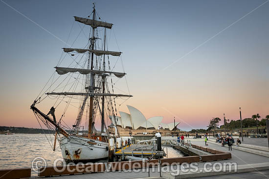Sailing Ship Sydney Harbour photo