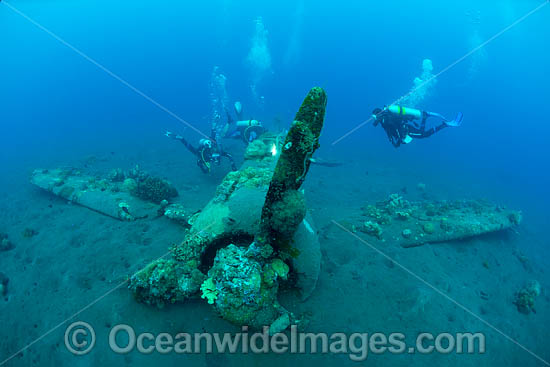 Divers exploring a WWll Japanese Zero fighter plane sitting intact and upright in 17m of water. Kimbe Bay, Papua New Guinea. Photo - Gary Bell Divers exploring a WWll Japanese Zero fighter plane sitting intact and upright in 17m of water. Kimbe Bay, Papua New Guinea. Photo - Gary Bell