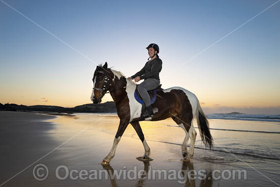 Horseriding Coffs Harbour photo