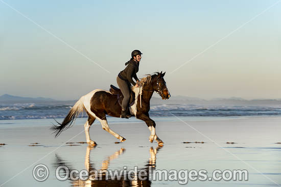Horseriding on beach NSW photo Horseriding on beach NSW photo