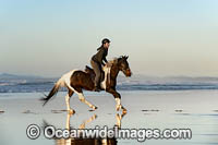 Horseriding on beach NSW Photo - Gary Bell