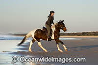 Horseriding Coffs Harbour Photo - Gary Bell
