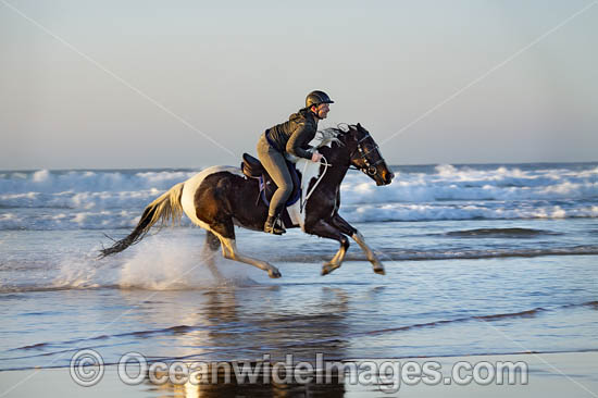 Horse riding on beach. Coffs Harbour, New South Wales, Australia. Photo - Gary Bell