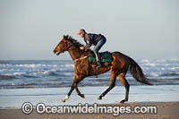 Horseriding Coffs Harbour Photo - Gary Bell