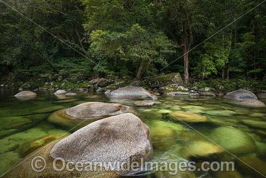 Mossman Gorge photo Mossman Gorge photo