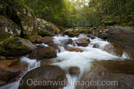 Mossman Gorge, situated in the Daintree National Park. Far North Queensland, Australia. Photo - Gary Bell