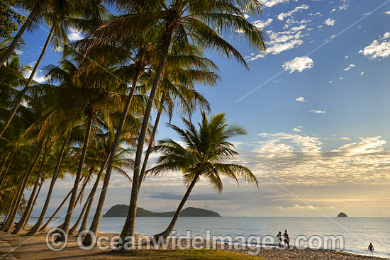 Sunrise at Palm Cove, situated near Cairns, Queensland, Austrealia. Photo - Gary Bell Sunrise at Palm Cove, situated near Cairns, Queensland, Austrealia. Photo - Gary Bell