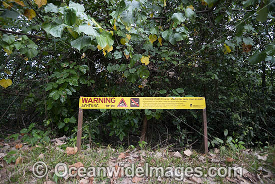 Crocodile Warning sign photo