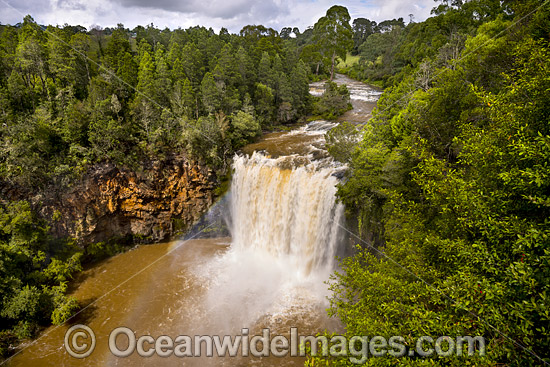 Dangar Falls Dorrigo photo Dangar Falls Dorrigo photo