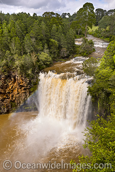 Dangar Falls Dorrigo photo Dangar Falls Dorrigo photo