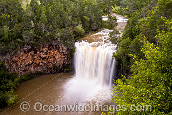 Dangar Falls Dorrigo photo Dangar Falls Dorrigo photo