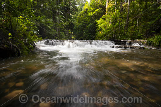 Bruxner Park Coffs Harbour photo