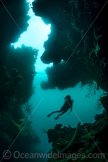 Diver in Cavern photo Diver in Cavern photo