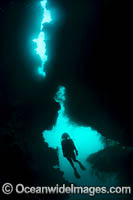 Diver in Cavern Photo - Gary Bell