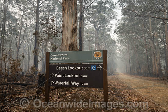Bushfires Australia photo