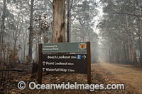Bushfires Australia Photo - Gary Bell