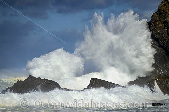 Crescent Head Waves photo