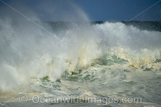 Crescent Head Waves photo