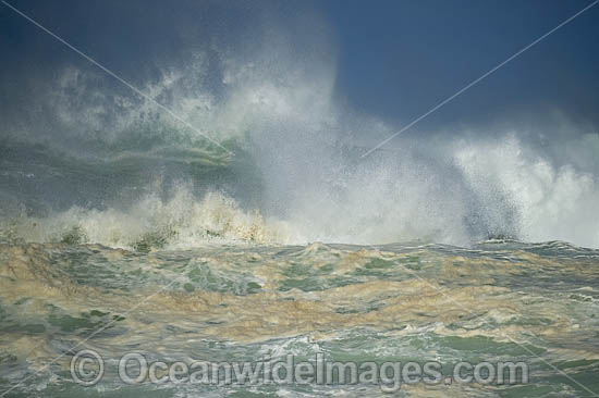 Crescent Head Waves photo