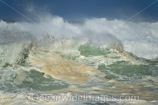 Crescent Head Waves photo