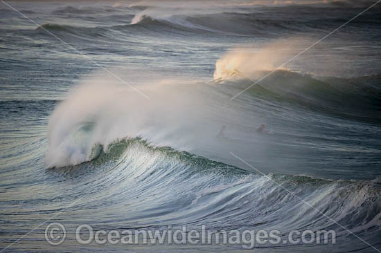 Crescent Head Waves photo
