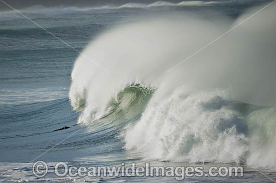 Crescent Head Waves photo