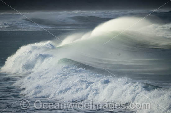 Crescent Head Waves photo