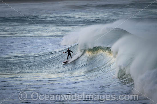 Surfer riding a wave. Creascent Head, New South wales, Australia. Photo - Gary Bell Surfer riding a wave. Creascent Head, New South wales, Australia. Photo - Gary Bell
