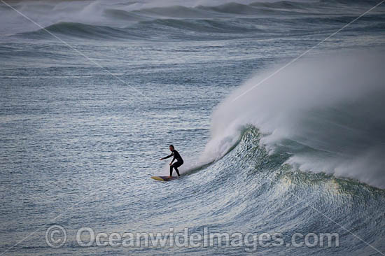 Surfer riding waves photo